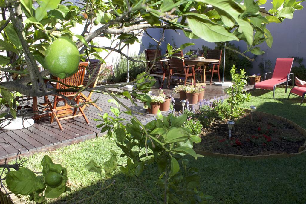 The Lions Guest House Cape Town Ngoại thất bức ảnh
