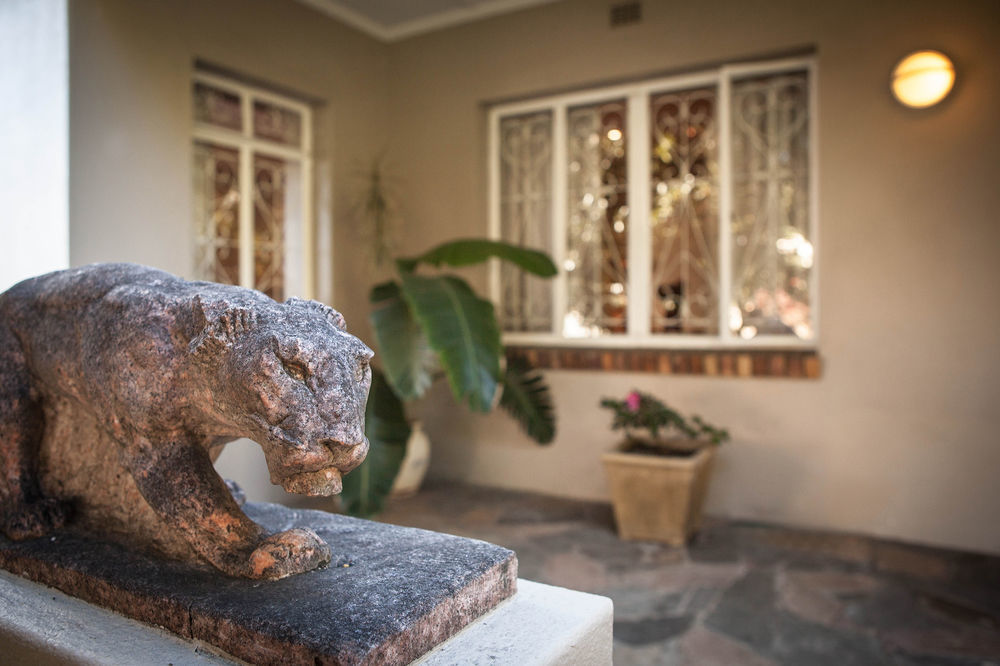 The Lions Guest House Cape Town Ngoại thất bức ảnh