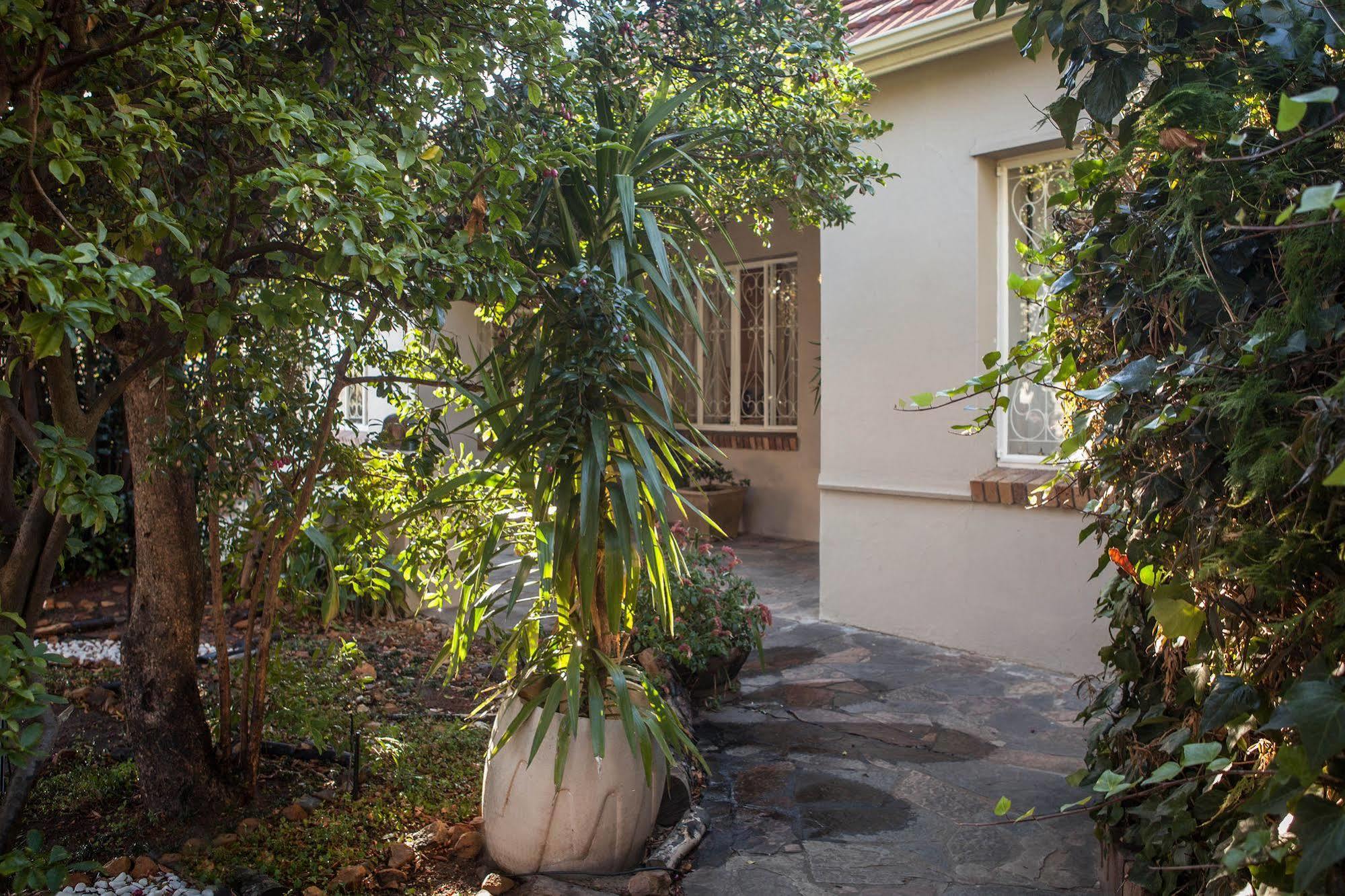 The Lions Guest House Cape Town Ngoại thất bức ảnh