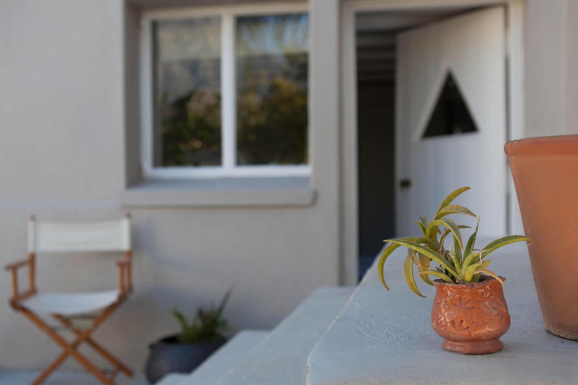 The Lions Guest House Cape Town Ngoại thất bức ảnh