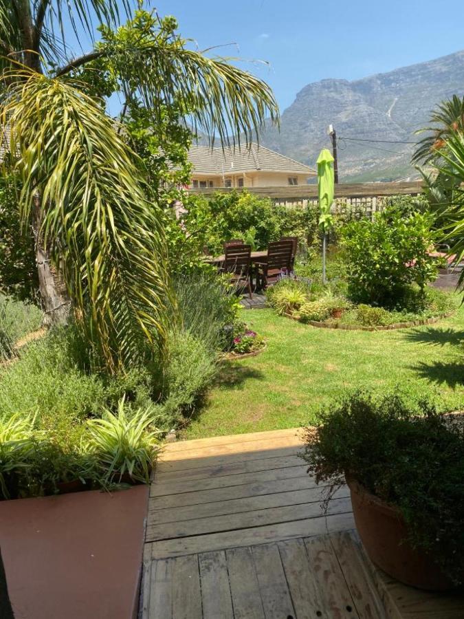 The Lions Guest House Cape Town Ngoại thất bức ảnh